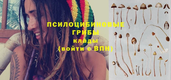 мет Краснослободск