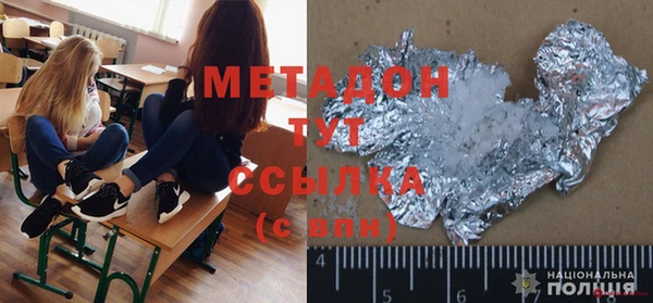 шишки Губаха