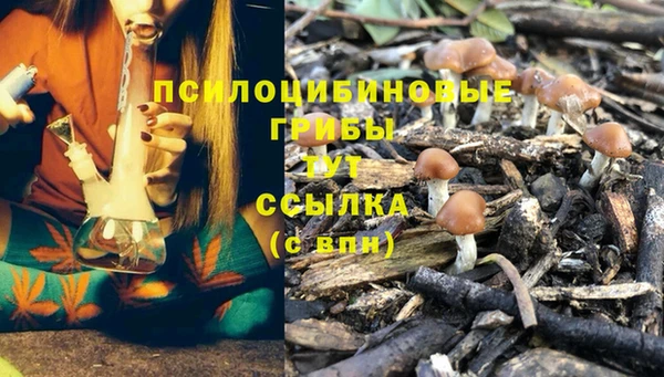 молекула духа Красноперекопск