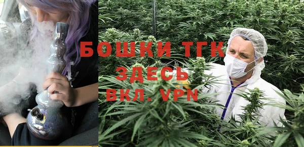 дурь Краснотурьинск