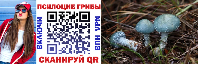 Галлюциногенные грибы Psilocybe  что такое наркотик  Краснозаводск 